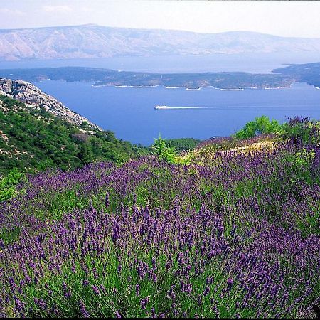 Bungalows Jurjevac Stari Grad  Dış mekan fotoğraf