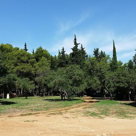 Bungalows Jurjevac Stari Grad  Dış mekan fotoğraf