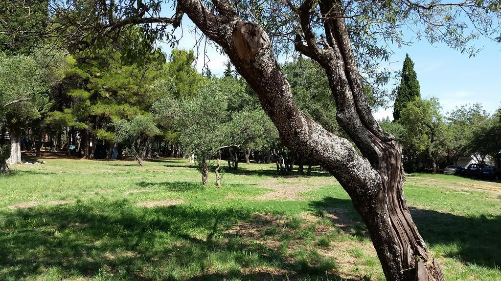 Bungalows Jurjevac Stari Grad  Oda fotoğraf